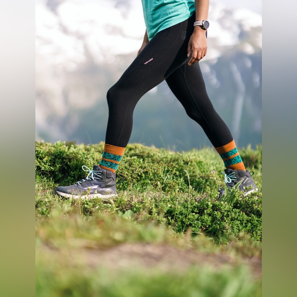 Women's Merino Fastray High Rise Tights icebreaker (large)